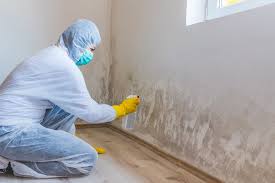 Best Water Damage & Mold Remediation in Bridgeville, PA